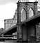 Council 5 New York