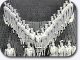 stewardesses forming a union