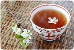 tea in 18th century asian cup