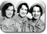 flight attendants