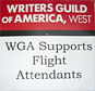 picketing at the united airlines shareholders rally