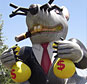 picketing at the united airlines shareholders rally