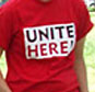 picketing at the united airlines shareholders rally